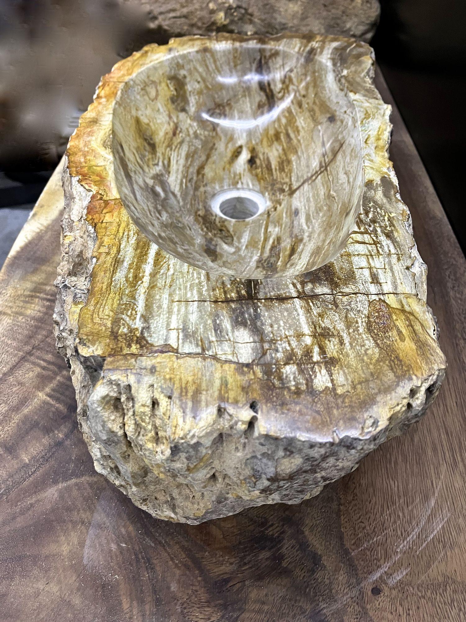 Petrified Wood Sink, Top Quality in Beige / Brown / Yellow Tones In Excellent Condition For Sale In Lichtenberg, AT