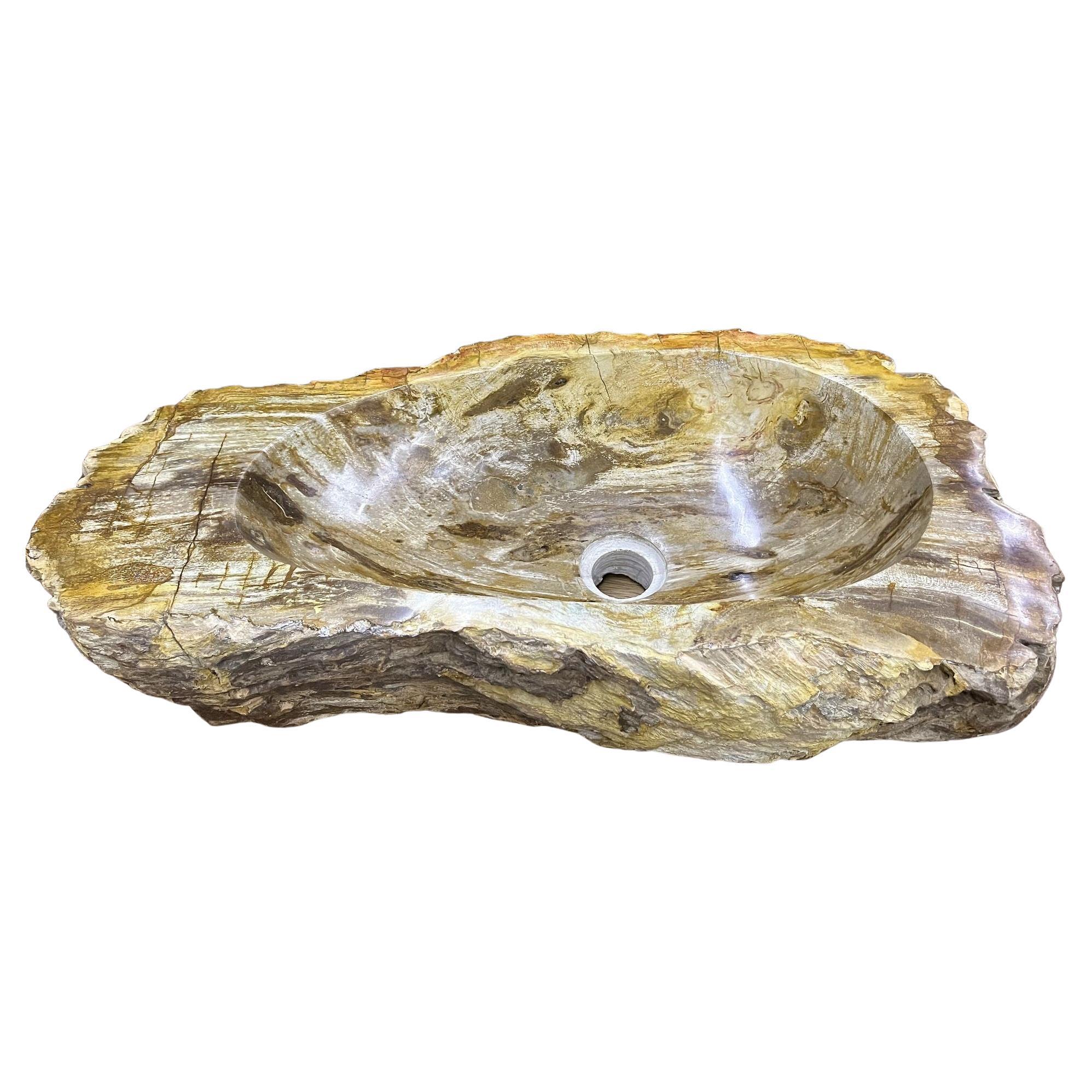 Petrified Wood Sink, Top Quality in Beige / Brown / Yellow Tones