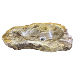 Petrified Wood Sink, Top Quality in Beige / Brown / Yellow Tones