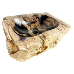 Petrified Wood Sink, Top Quality in Creme, Brown and Black Tones, 2021