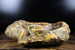 Petrified Wood Sink with Brown/ Beige/ Yellow Tones Polished, Top Quality