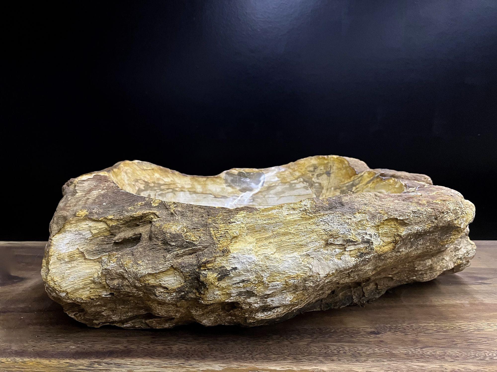 One of a kind petrified wood sink in absolute top quality. This organic modern sink impresses with a fantastic natural shape and beautiful different color tones of beige, brown, yellow and grey. The inside of the sink shows a polished surface with