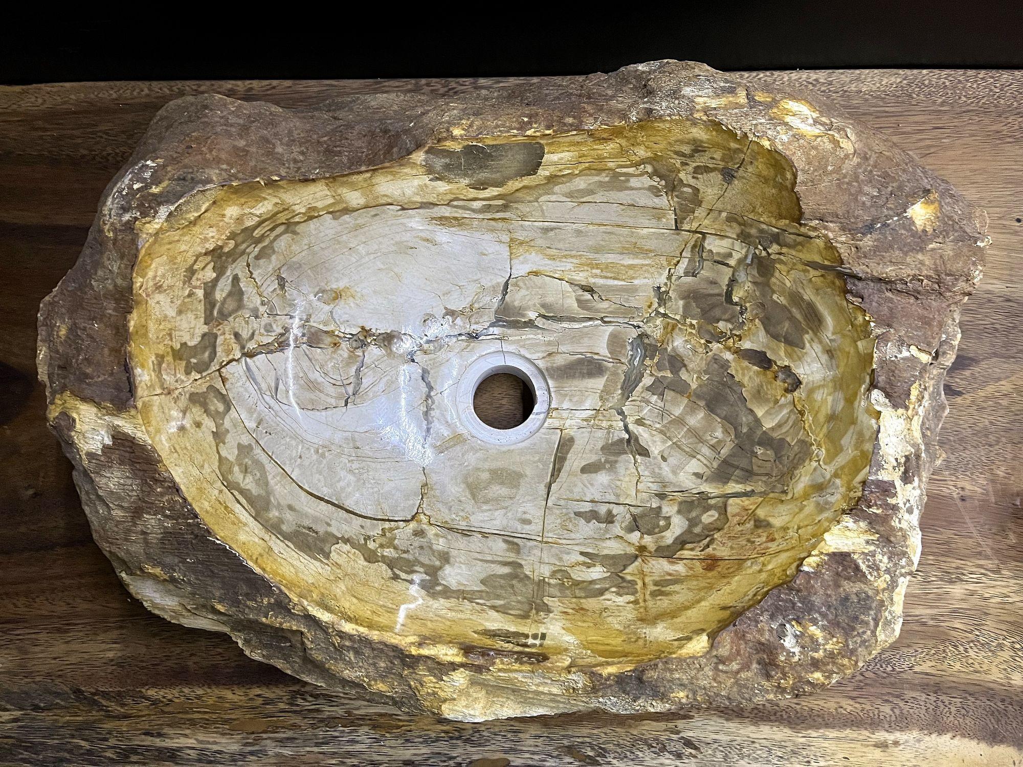 Organic Modern Petrified Wood Sink with Brown/ Beige/ Yellow Tones Polished, Top Quality For Sale