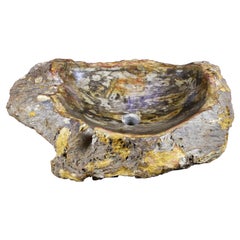 Petrified Wood Sink with Brown/ Beige/ Yellow Tones Polished, Top Quality