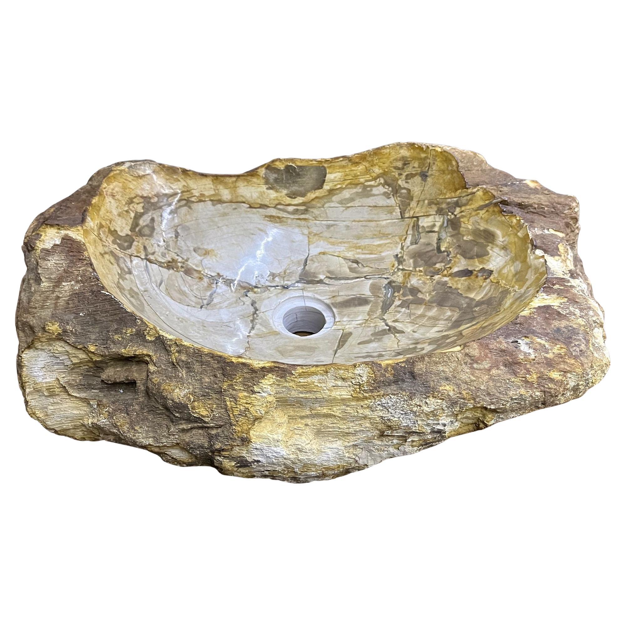 Petrified Wood Sink with Brown/ Beige/ Yellow Tones Polished, Top Quality For Sale