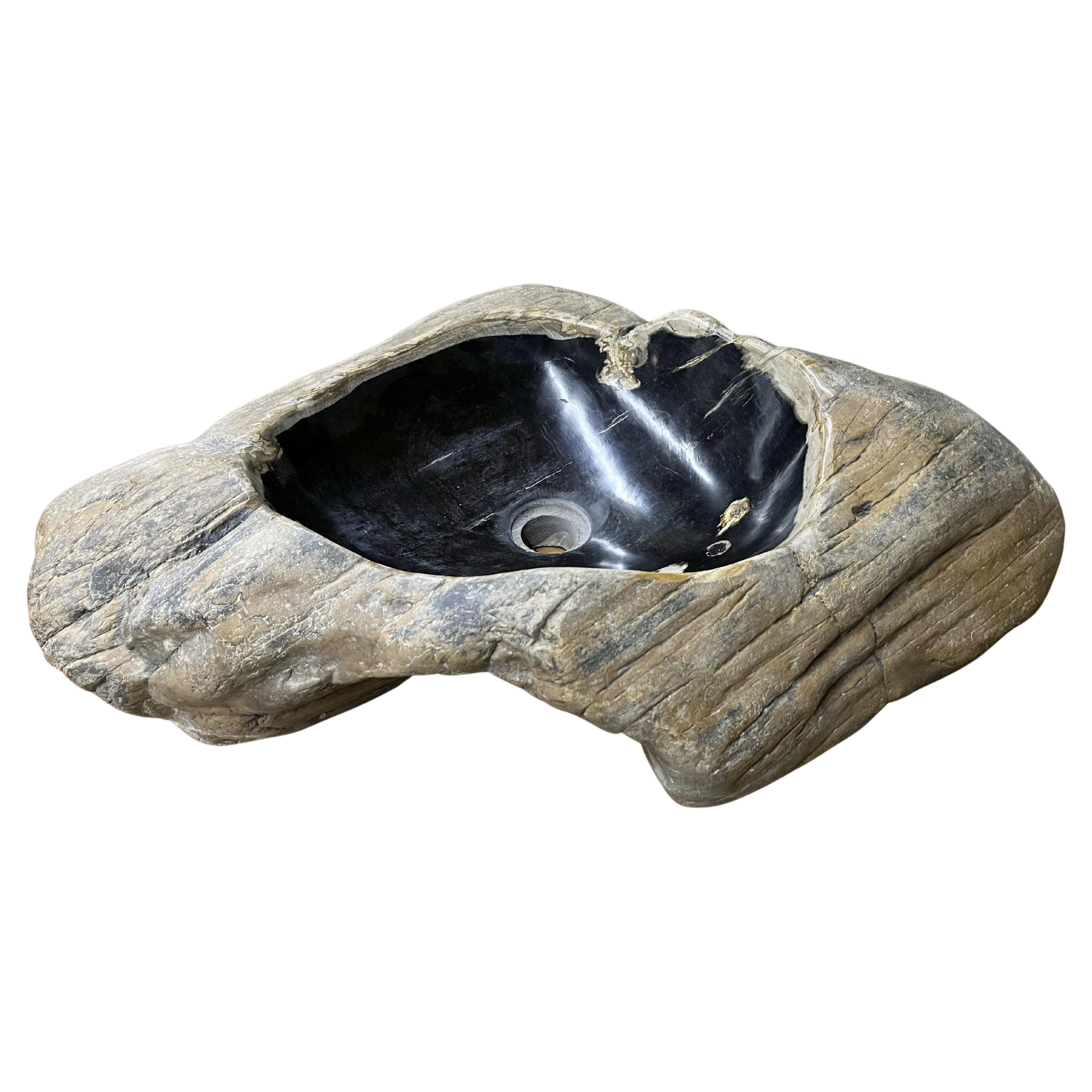 Double Sink Petrified Wood Polished Top Quality, Organic Modern at 1stDibs