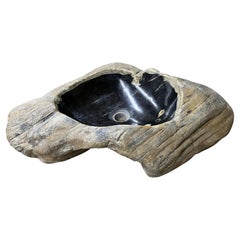Petrified Wood Sink with Brown/ Grey/ Black Tones Polished, Top Quality