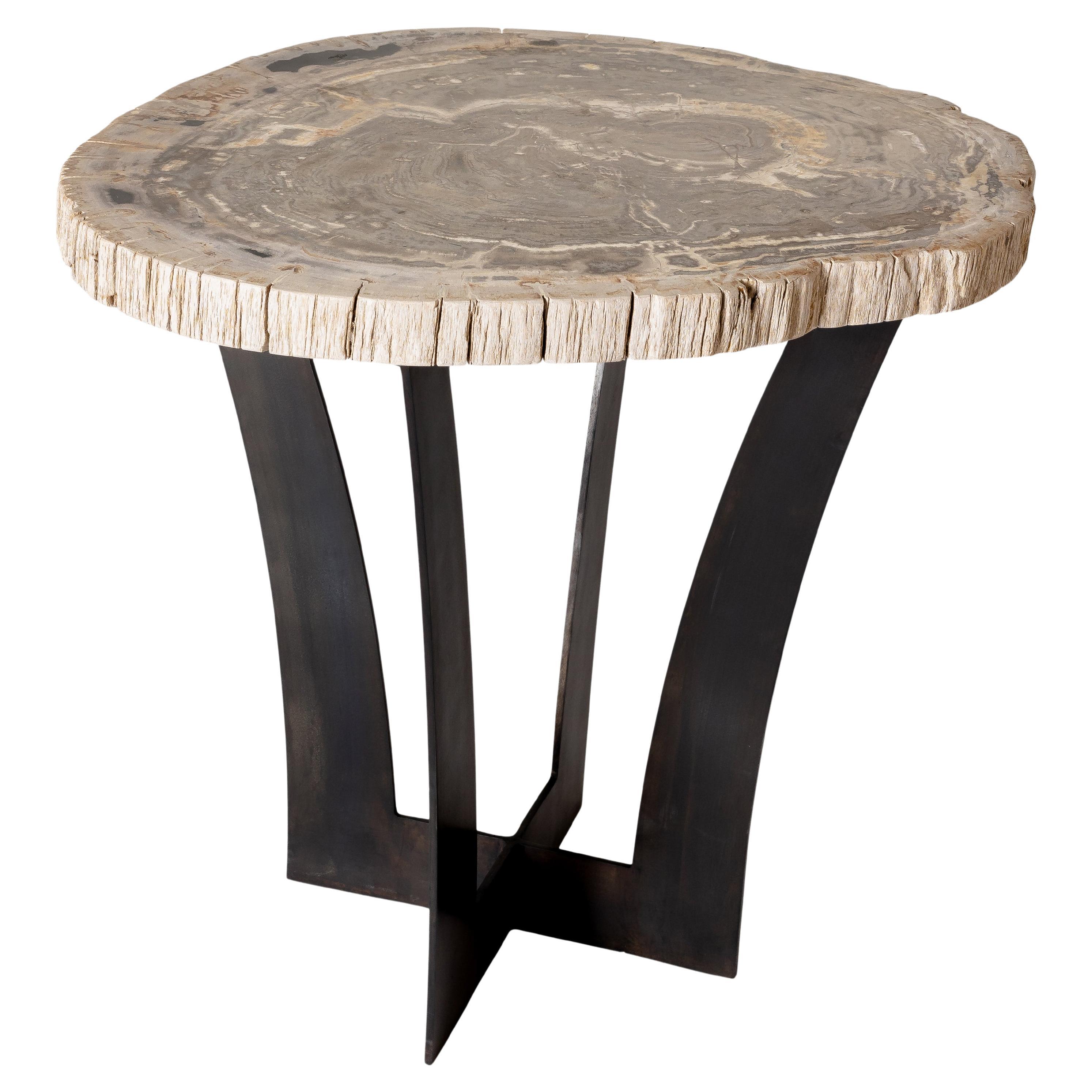 Petrified Wood Slab End Table on Metal Base