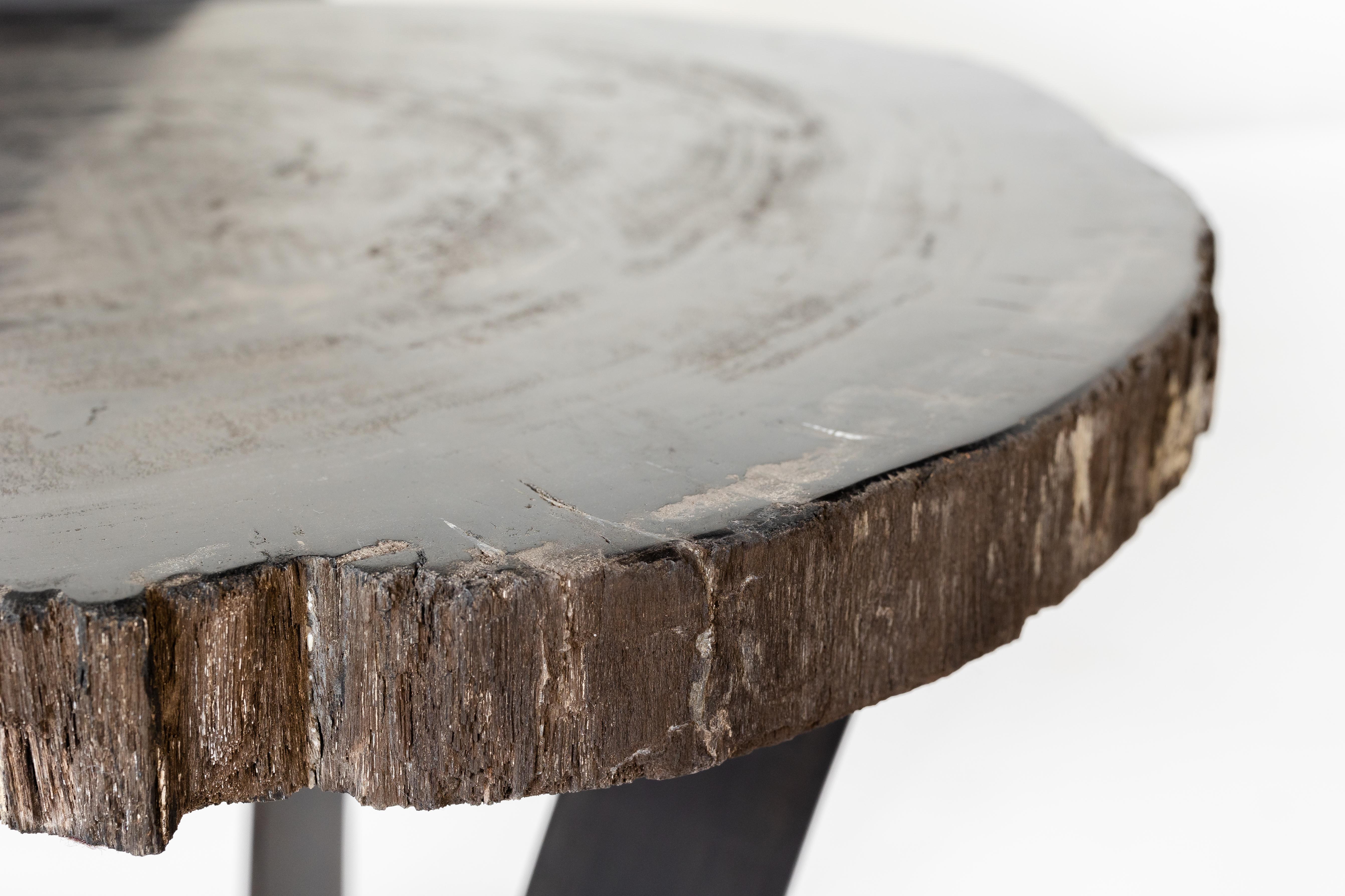 Organic Modern Petrified Wood Slab End Table with Metal Base For Sale