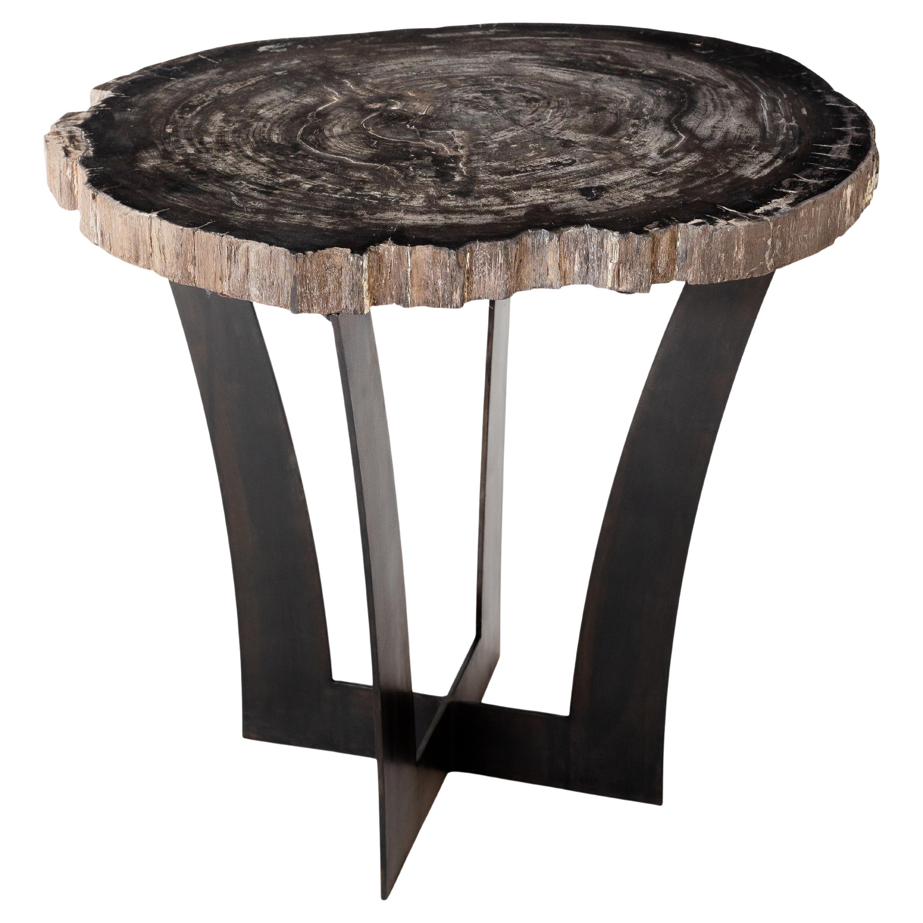 Petrified Wood Slab End Table with Metal Base