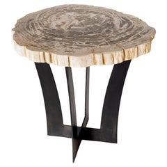 Petrified Wood Slab End Table with Metal Base