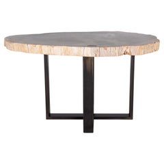 Petrified Wood Slab on Cross Sectional Patina Steel Base