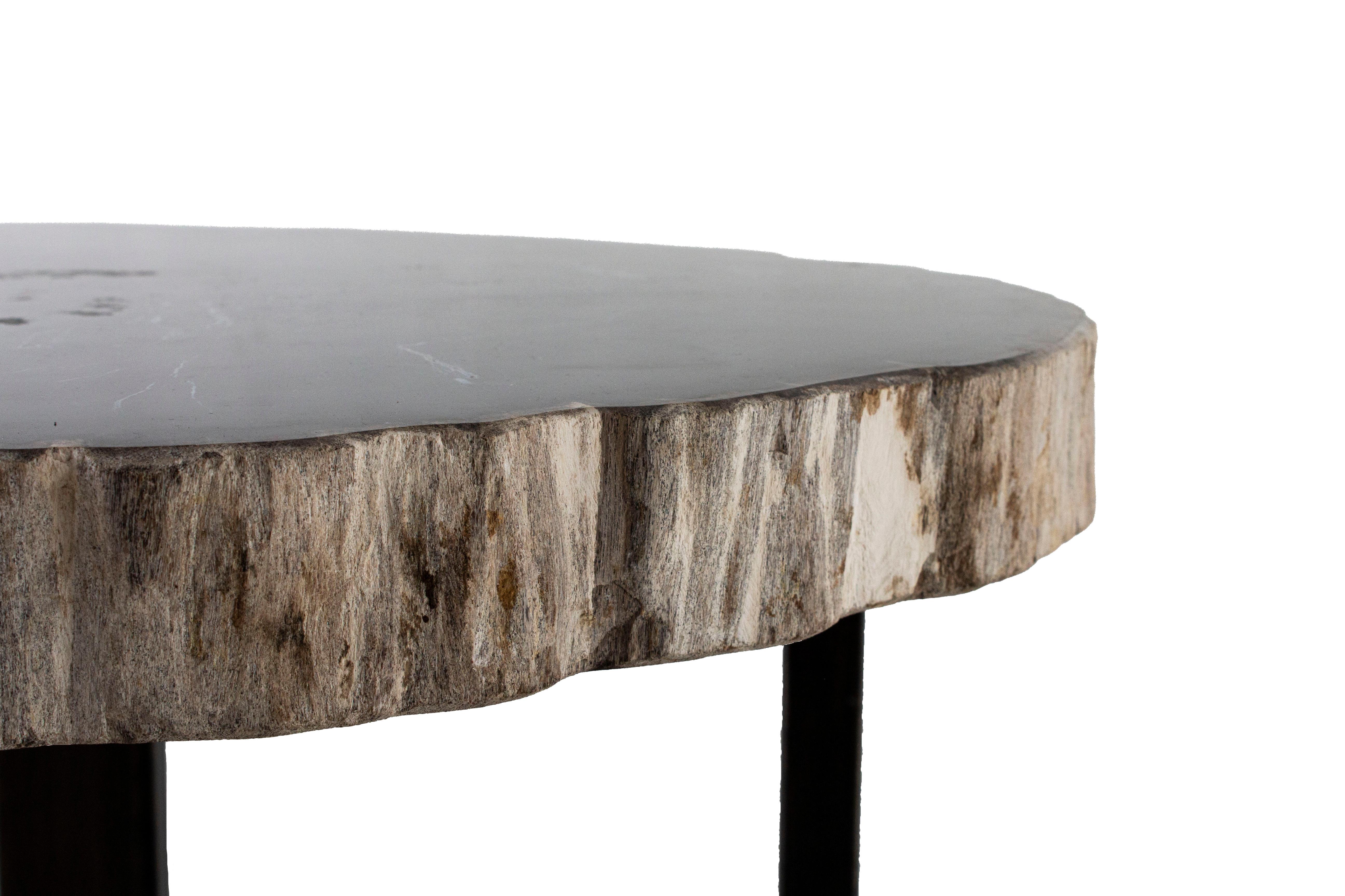 Petrified Wood Slab on Patinaed Steel Mount In New Condition In Dallas, TX