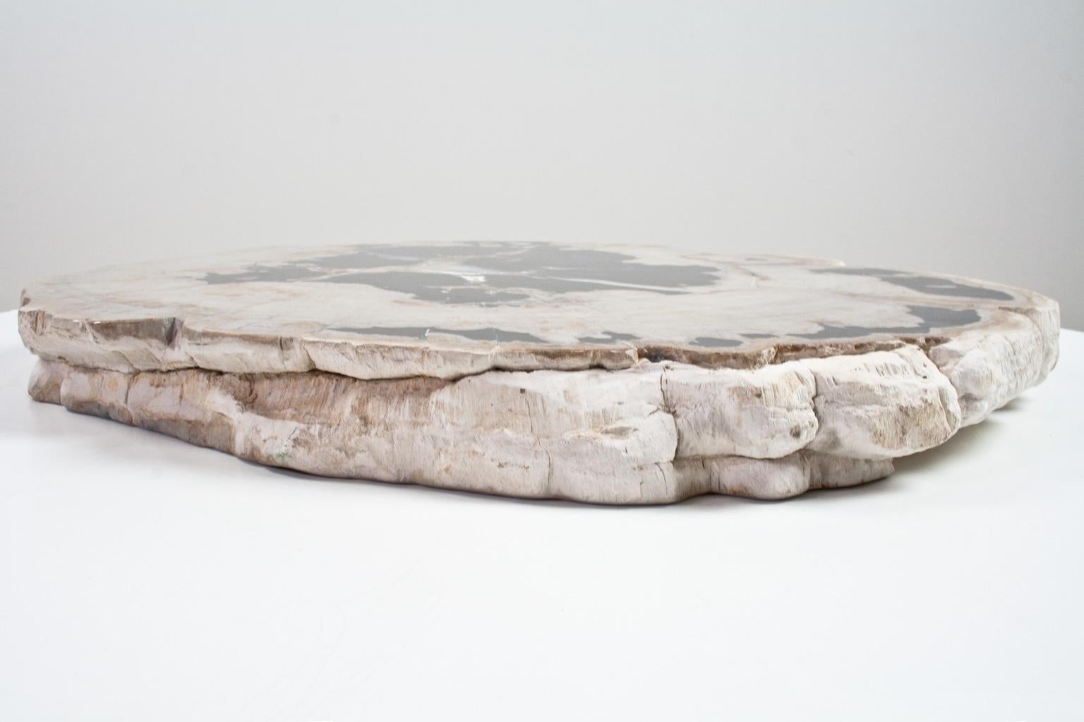 Organic Modern Petrified Wood Slate Slice or Tabletop Polished For Sale