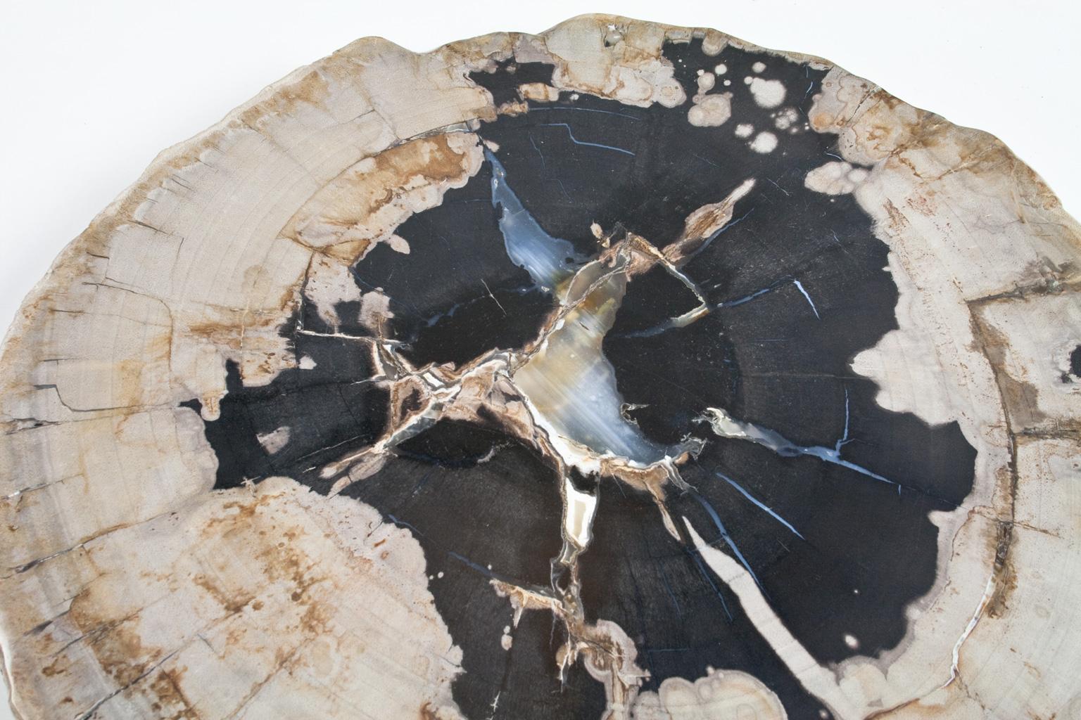 Indonesian Petrified Wood Slate Slice or Tabletop Polished For Sale