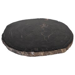 Petrified Wood Slice Charger