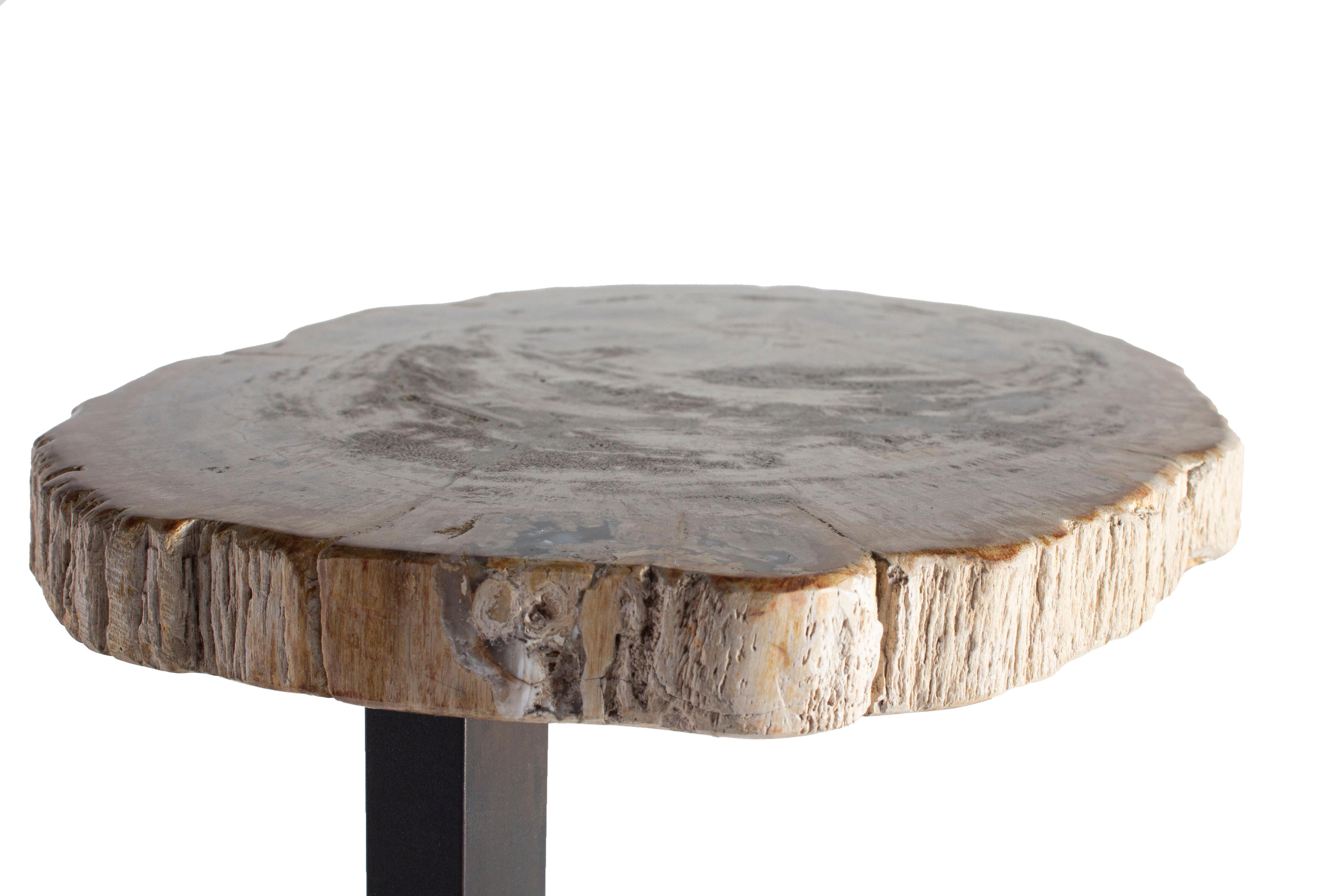 Petrified Wood Slice Cocktail Table In New Condition In Dallas, TX
