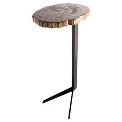 Petrified Wood Slice Cocktail Table