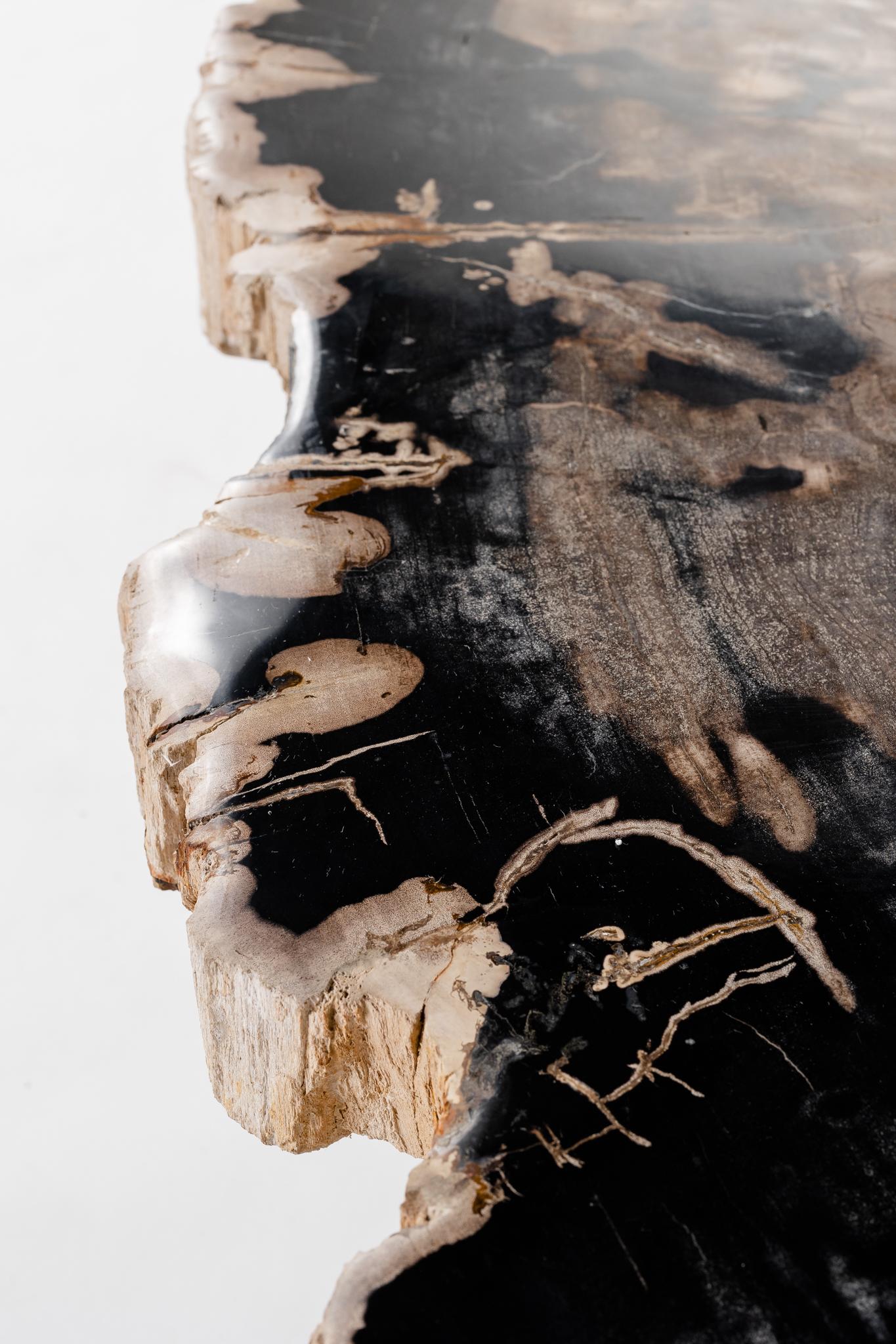 Petrified Wood Slice on Patina Steel Base  2