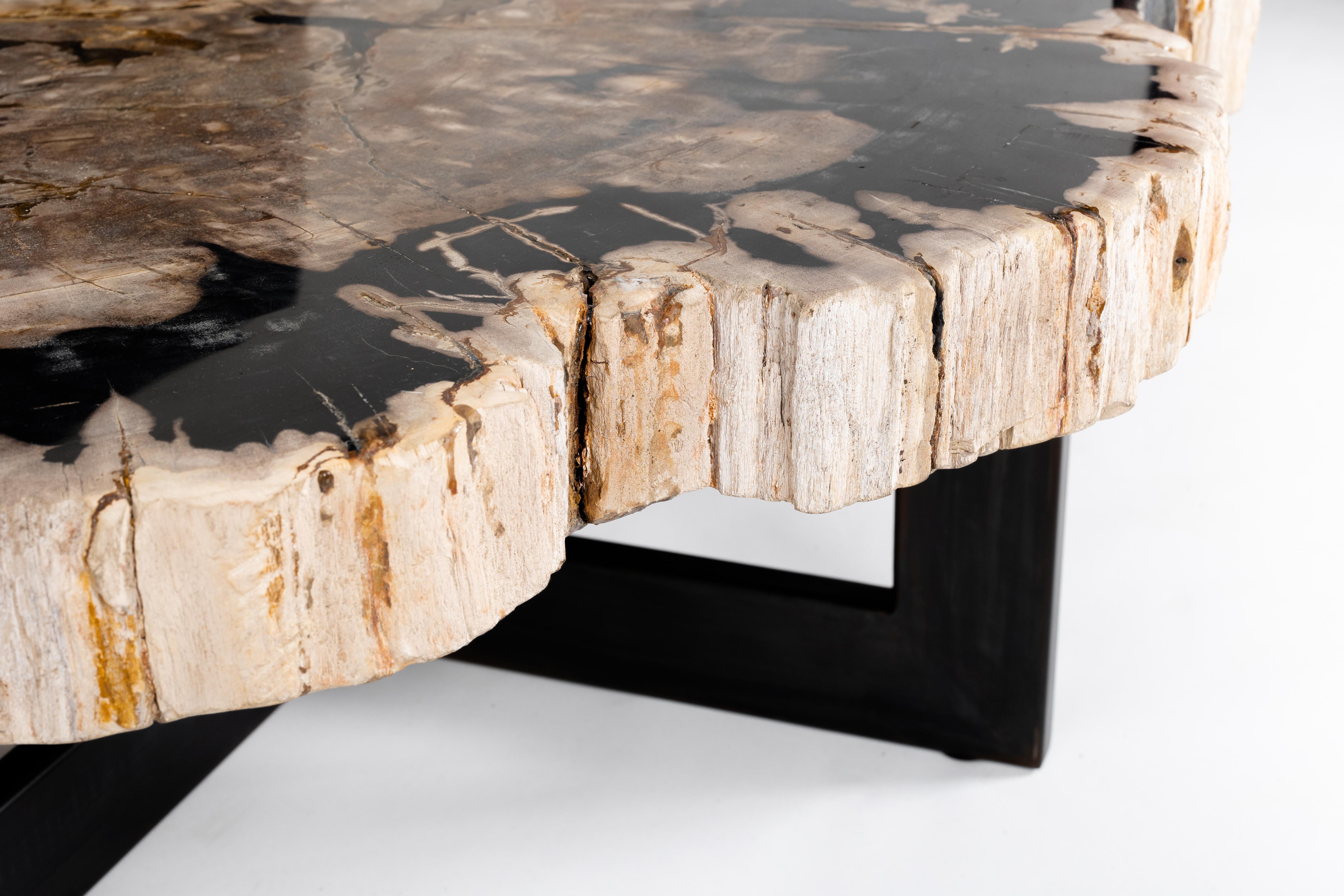 Contemporary Petrified Wood Slice on Patina Steel Base 
