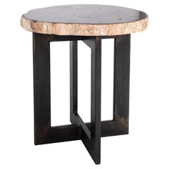 Petrified Wood Slice Side Table on Cross Iron Base