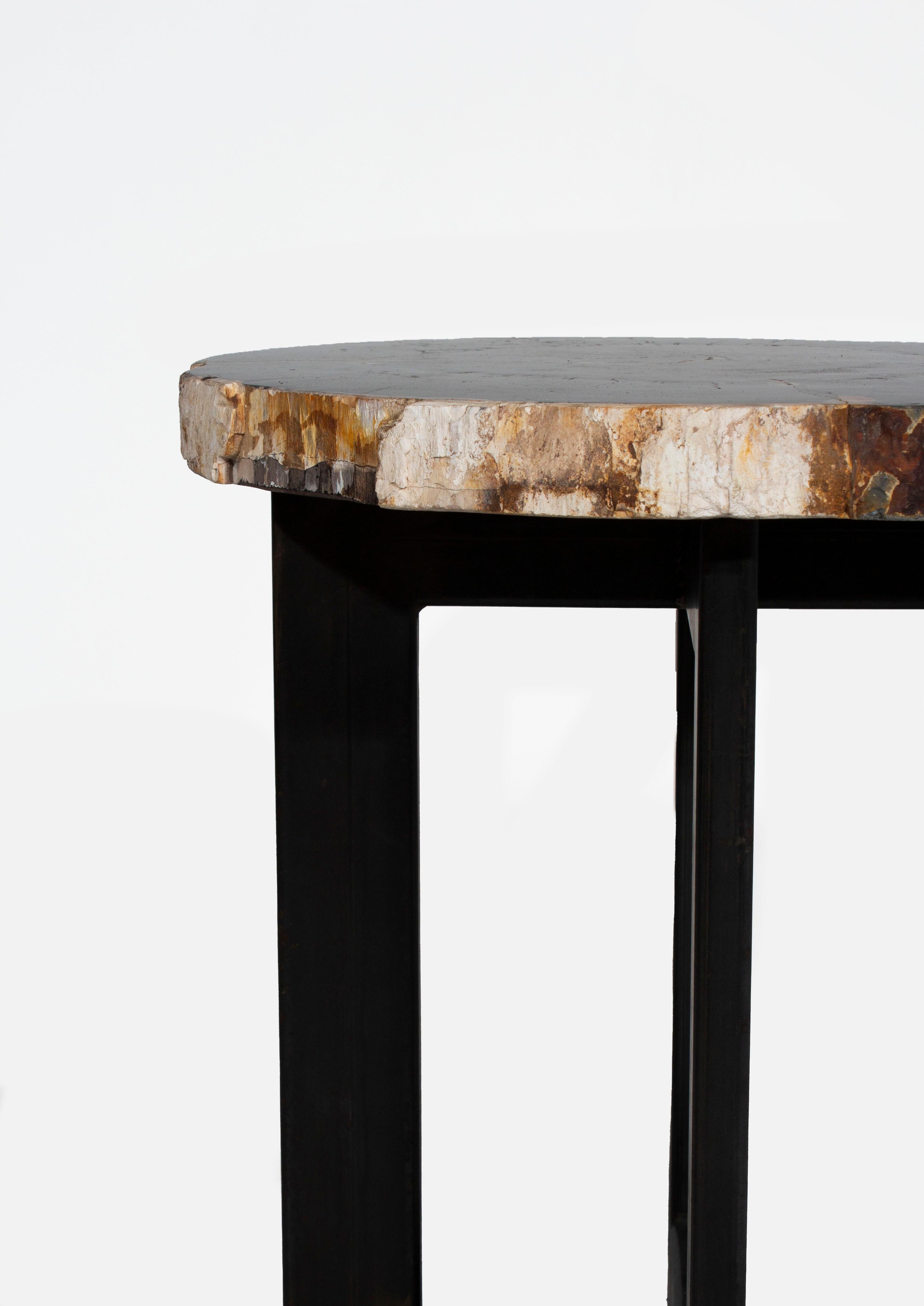 Mid-Century Modern Petrified Wood Slice Side Table on Iron Base