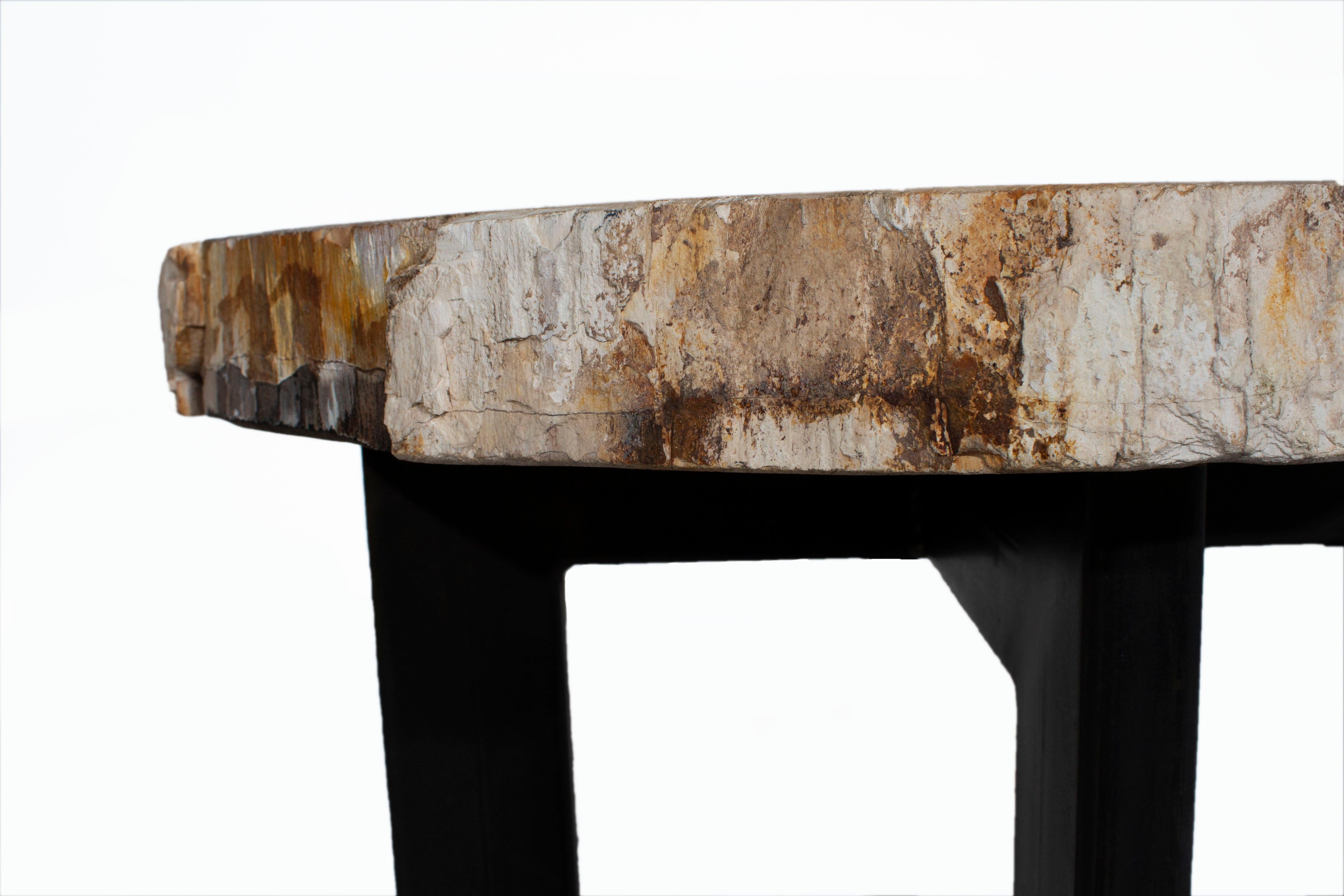 Belgian Petrified Wood Slice Side Table on Iron Base