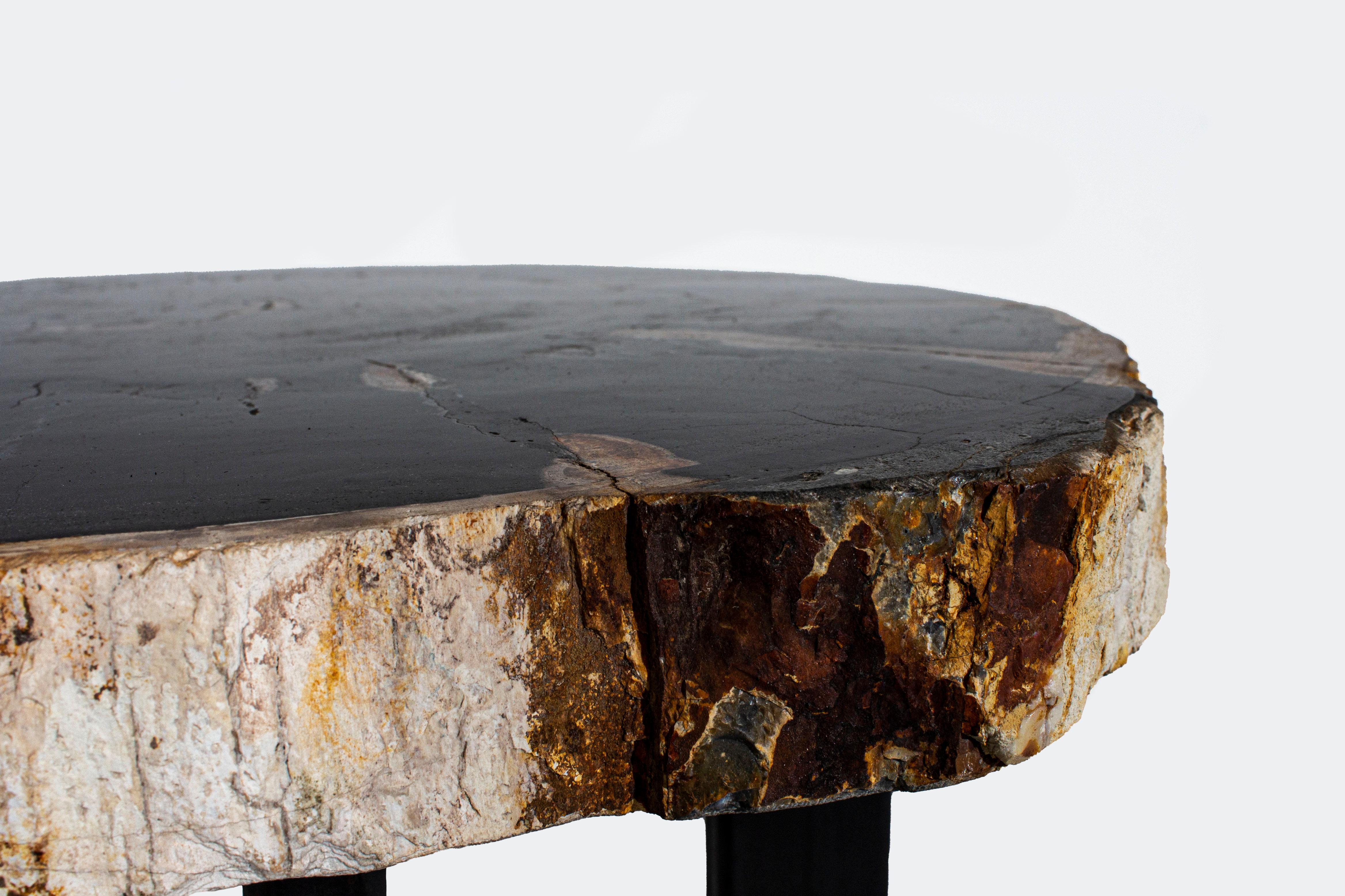 Petrified Wood Slice Side Table on Iron Base In Excellent Condition In Dallas, TX