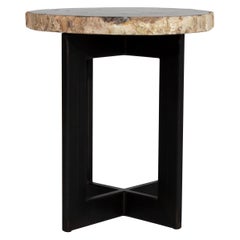 Petrified Wood Slice Side Table on Iron Base