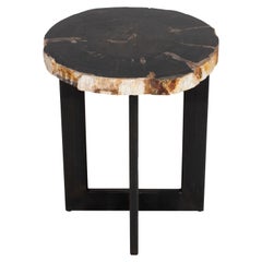 Petrified Wood Slice Side Table on Iron Base