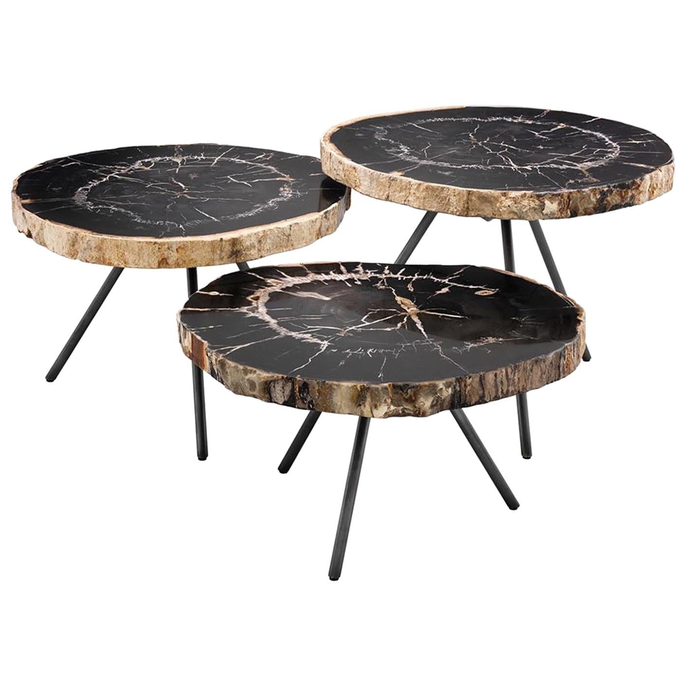 Petrified Wood Dark Slices Set of 3 Coffee Table For Sale