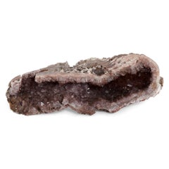 Specimen di Wood pietrificato e geode di ametista