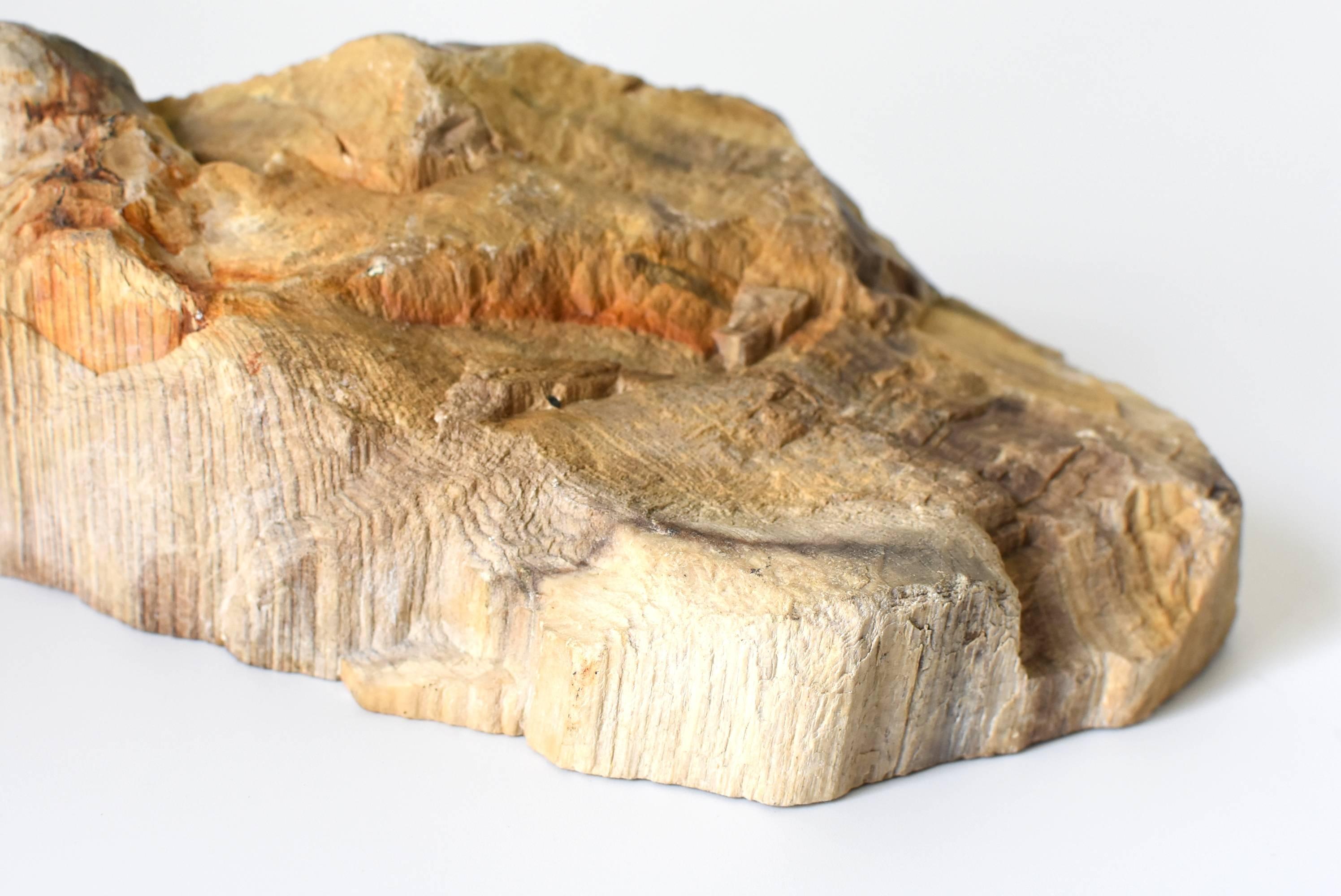 Specimen di Wood pietrificato in vendita 3
