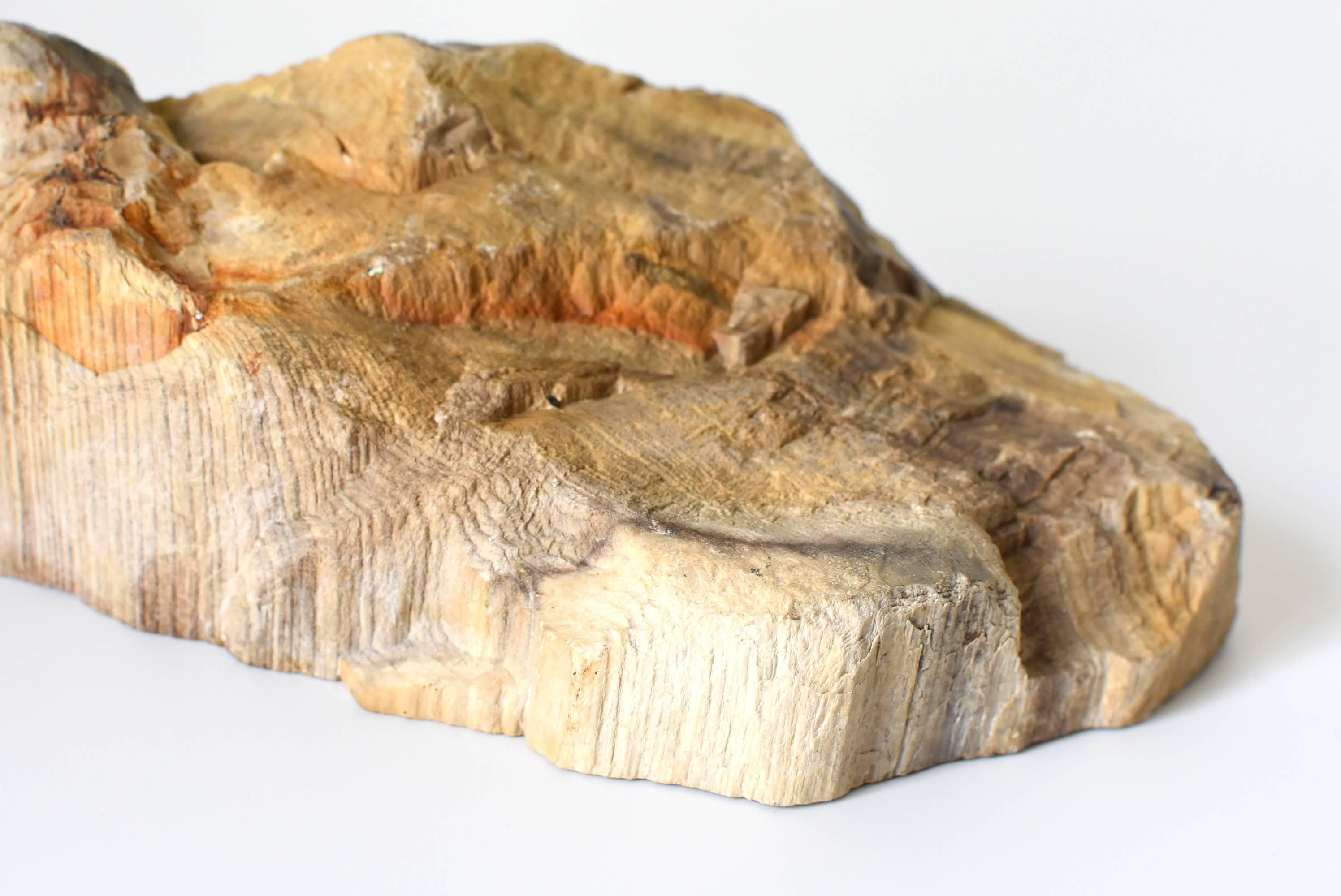 Petrified Wood Specimen For Sale 1