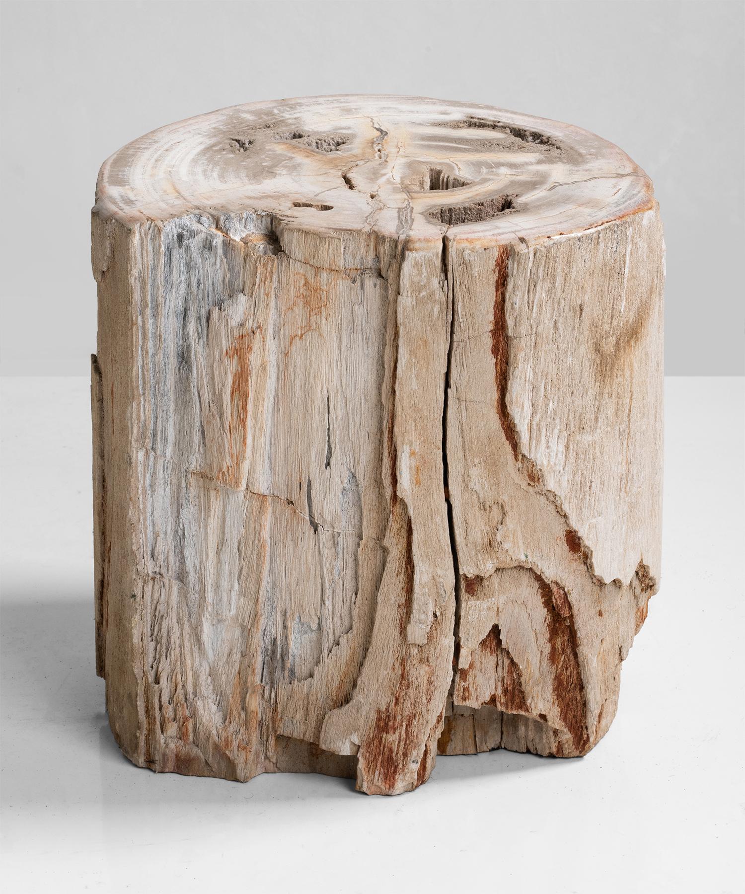 American Petrified Wood Stands, America, 19th Century