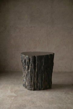 Petrified Wood Stool, Wabi-Sabi, 21st Century