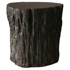 Petrified Wood Stool, Wabi-Sabi, 21st Century
