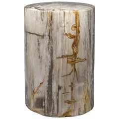 Petrified Wood Stool or Low Pedestal from Indonesia