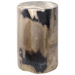 Petrified Wood Stool or Low Pedestal from Indonesia