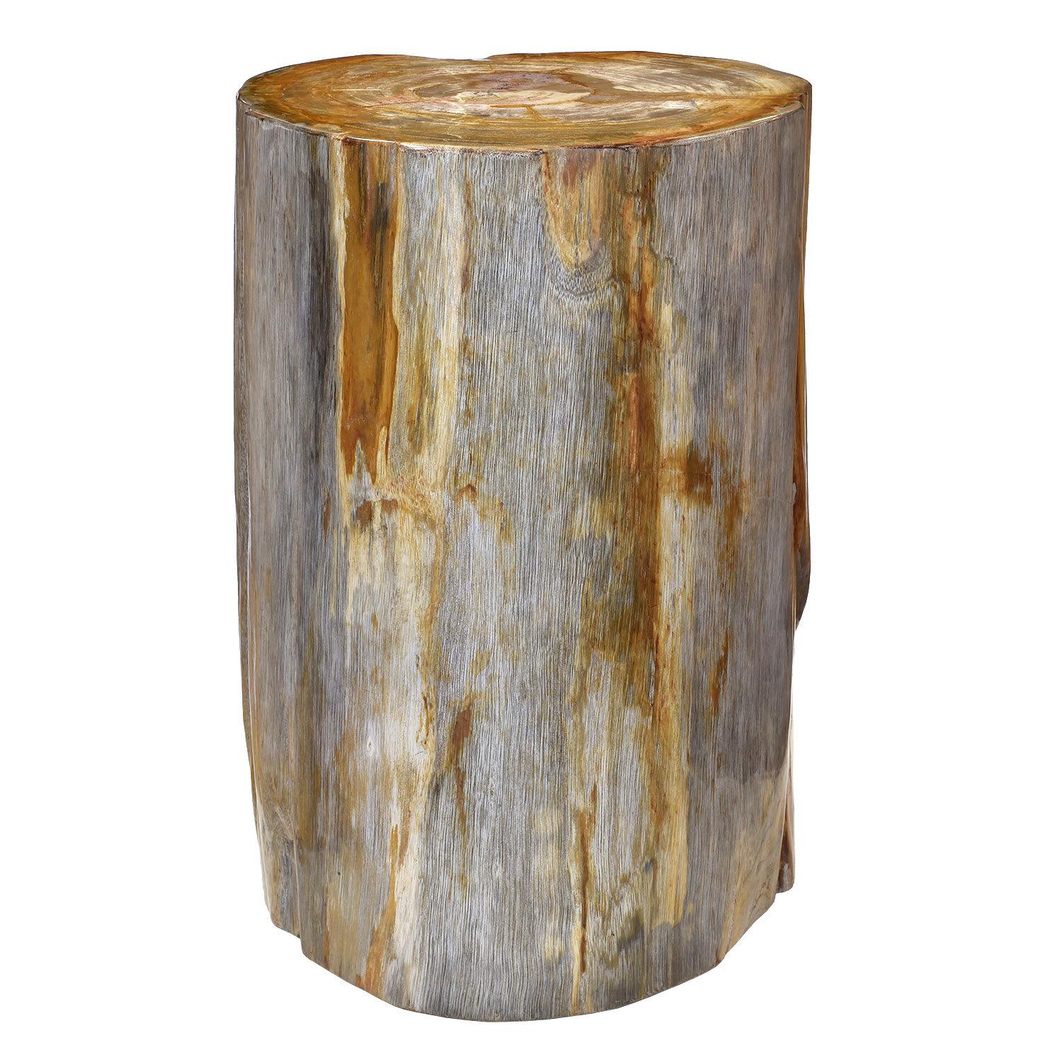 Petrified wood (millions of years old) stool or low pedestal from Indonesia

Weight: 175 lbs. / 79 kg 

Petrified wood is a fossilized organic representation of the original vegetation. 

Minerals present during the crystallization process