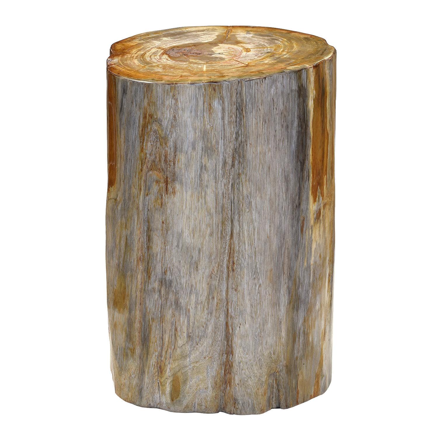 Other Petrified Wood Stool, Side Table or Low Pedestal, Indonesia