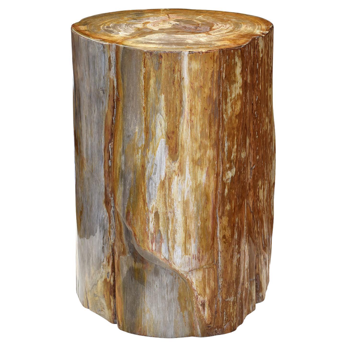 Petrified Wood Stool, Side Table or Low Pedestal, Indonesia