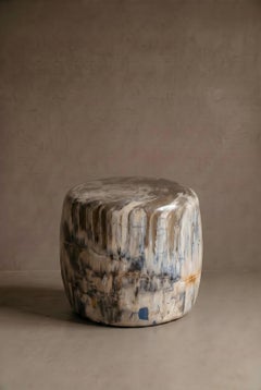 Petrified Wood Stool, Wabi-Sabi, 21st Century, Organic Design