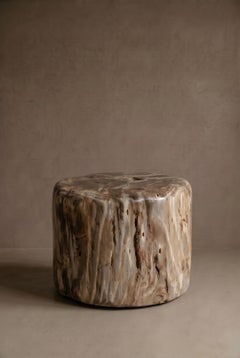 Petrified Wood Stool, Wabi-Sabi, 21st Century, Organic Modern
