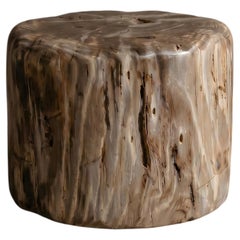 Petrified Wood Stool, Wabi-Sabi, 21st Century, Organic Modern