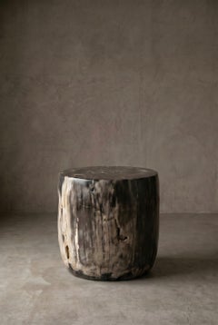 Petrified Wood Stool, Wabi-Sabi, 21st Century, Wood Stool