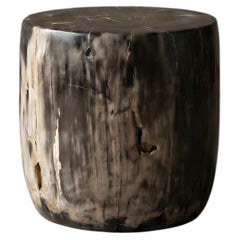 Petrified Wood Stool, Wabi-Sabi, 21st Century, Wood Stool