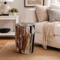 Petrified Wood Stump End Table with Organic Modern Design