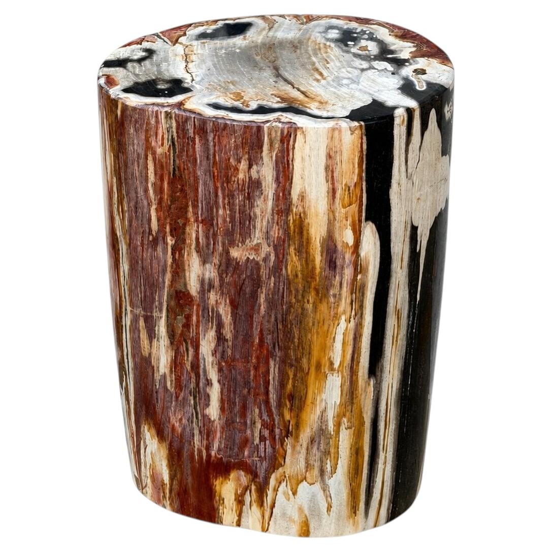 Petrified Wood Stump End Table 20"