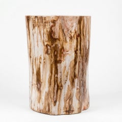 Petrified Wood Stump End Table
